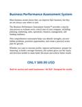 Business Performance Assessment System